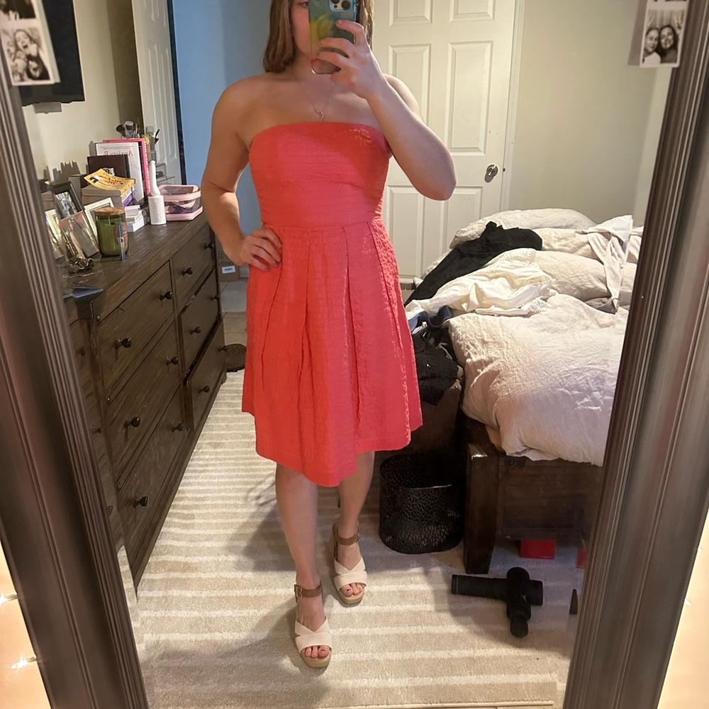 J.Crew Dress